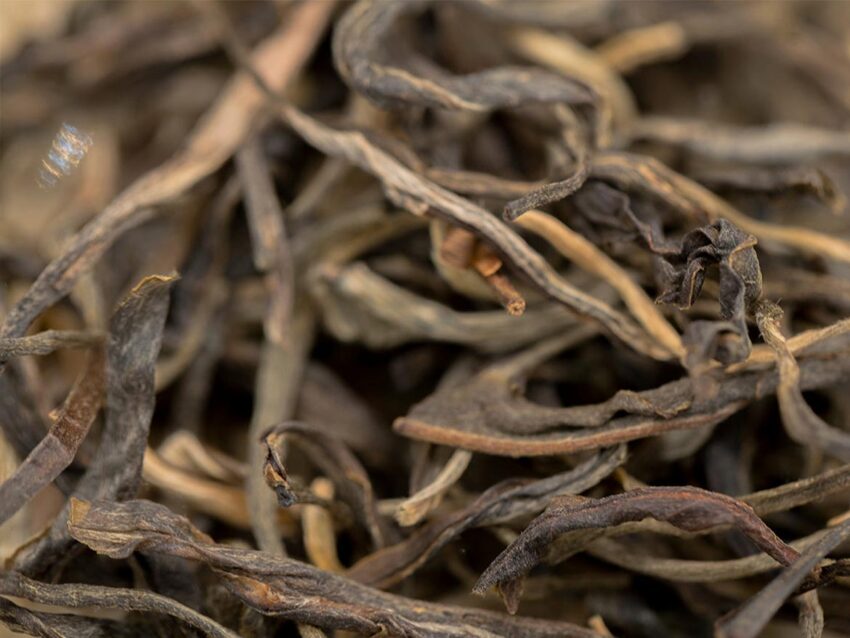 Da Bai Hao (Big White Pekoe) Sheng Pu-erh, 2019