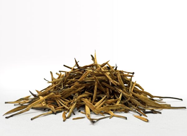 Da Jin Zhen (Wiosna 2025)