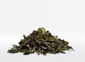 Бай Му Дань