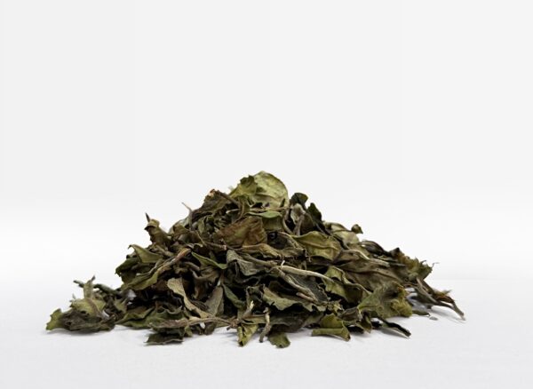 Bai Mu Dan 2025 (rzemieślnicza)