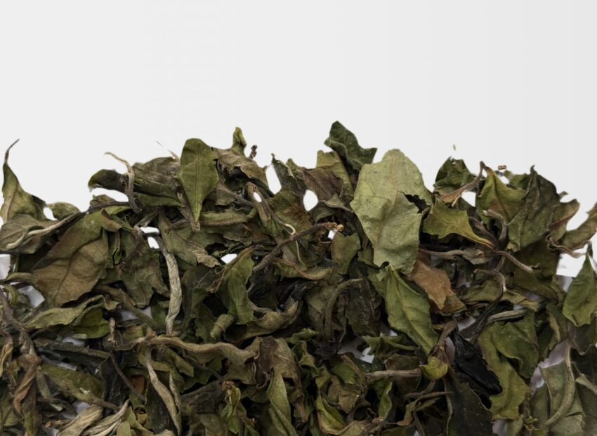 Bai Mu Dan 2025 (rzemieślnicza) — изображение 2