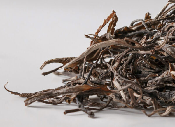 Sheng Pu-Erh - Mahei Gu Shu Qiao Mu, 2023 (Yiwu)