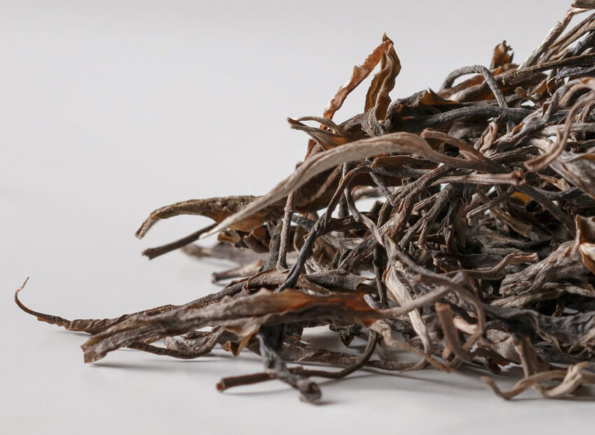 Sheng Pu-Erh - Mahei Gu Shu Qiao Mu, 2023 (Yiwu)