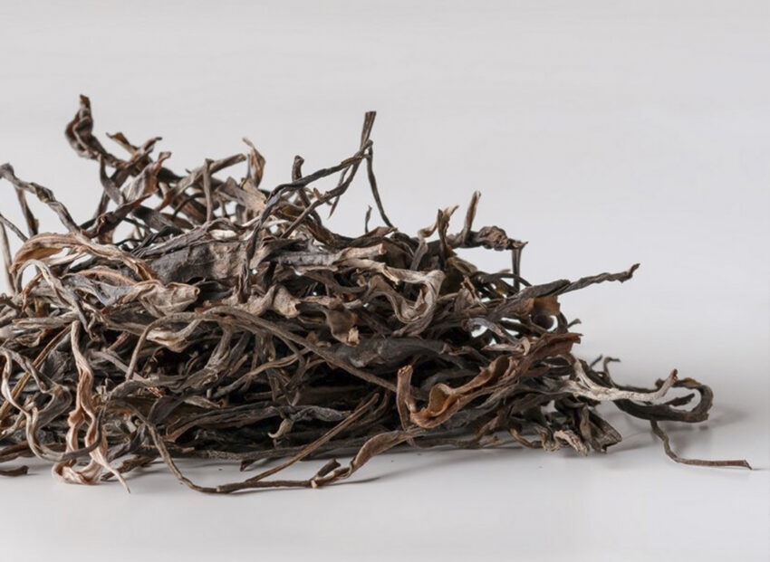 Sheng Pu-Erh - Mahei Gu Shu Qiao Mu, 2023 (Yiwu) - Зображення 3