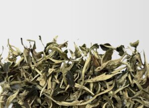 Юэ Гуан Бай