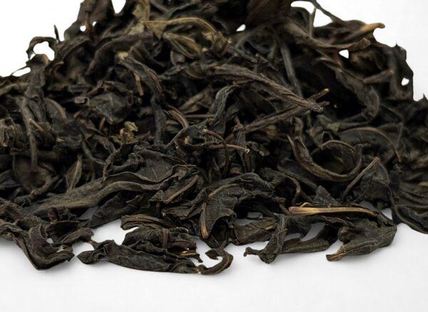 Kiprzyca fermentowana leśna (Iwan czaj)