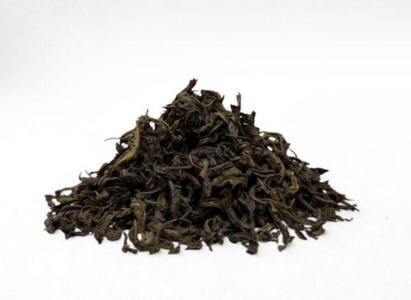 Kiprzyca fermentowana (Iwan czaj)