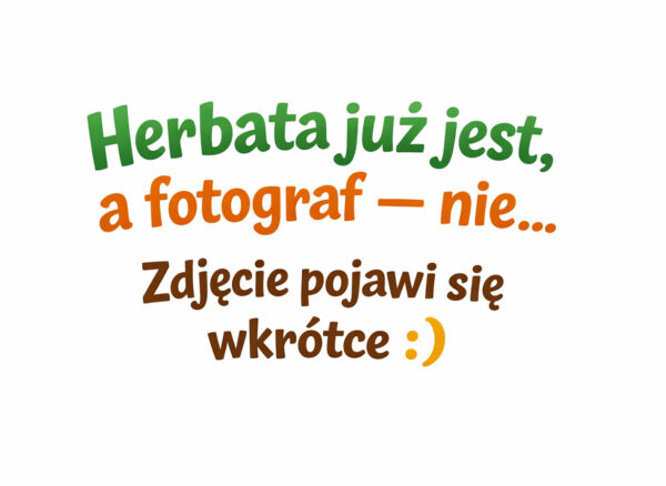 Anji Bai Cha Mao Feng