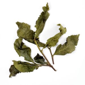 Tie Guan Yin Mao Cha