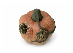 Figurka do herbaty "Żabka na Dyni"